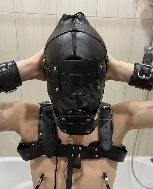 PuppyTroy4092086