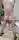 Som23041984