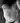 Bear_D