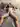 Antoha2226